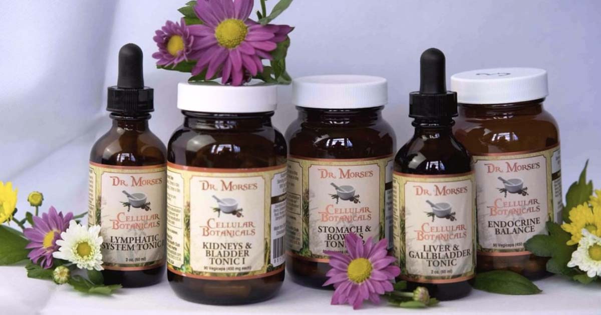 Dr Robert Morse's Botanical Formulas page 7